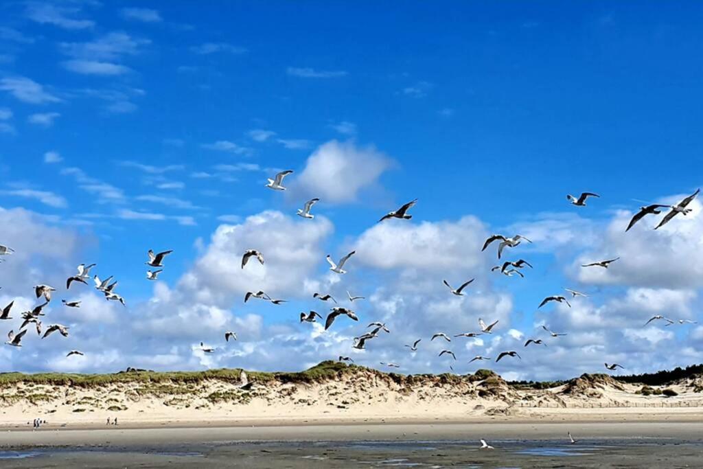 La Cabane des Dunes à Fort-Mahon Plage Extérieur photo